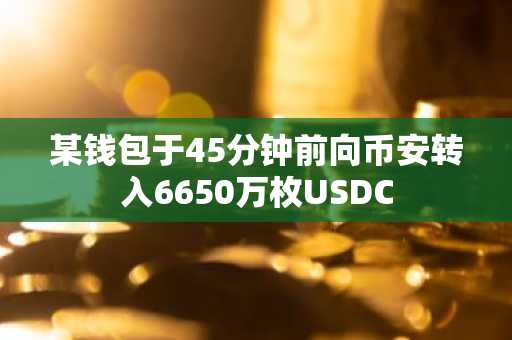 某钱包于45分钟前向币安转入6650万枚USDC