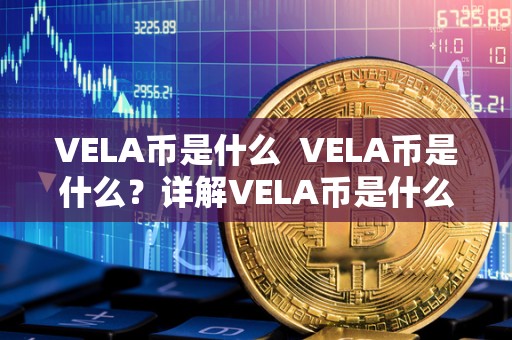 VELA币是什么  VELA币是什么？详解VELA币是什么币，VELA币的发展和应用