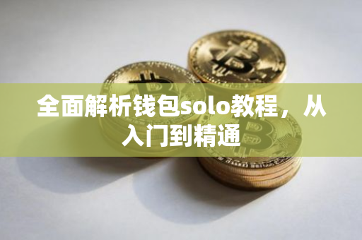 全面解析钱包solo教程，从入门到精通