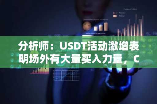 分析师：USDT活动激增表明场外有大量买入力量，CPI数据或减轻加密货币价格压力