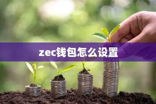 zec钱包怎么设置