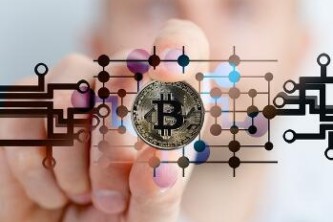 基金认购_基金认购和申购的区别是什么