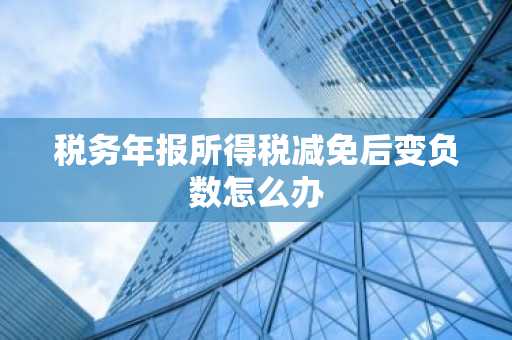 税务年报所得税减免后变负数怎么办