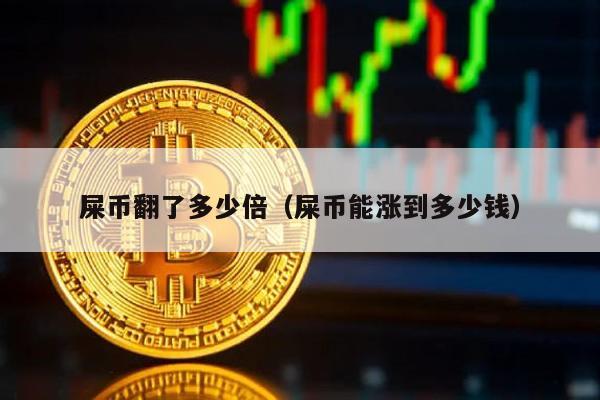 屎币翻了多少倍（屎币能涨到多少钱）