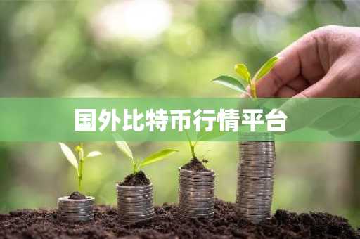 国外比特币行情平台