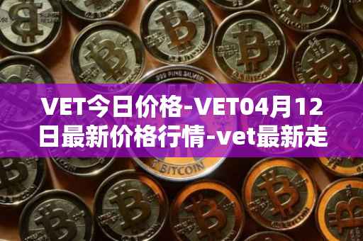 VET今日价格-VET04月12日最新价格行情-vet最新走势消息
