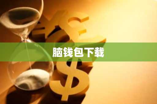 脑钱包下载