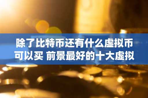 除了比特币还有什么虚拟币可以买 前景最好的十大虚拟币排名 _ 2024