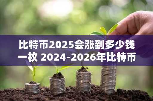 比特币2025会涨到多少钱一枚 2024-2026年比特币未来价格预测