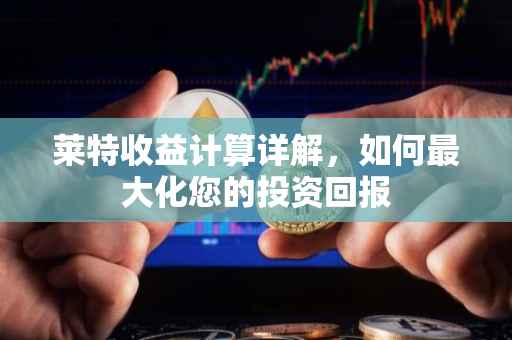 莱特收益计算详解，如何最大化您的投资回报