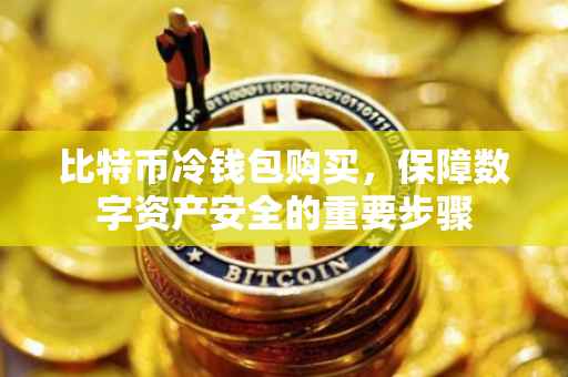 比特币冷钱包购买，保障数字资产安全的重要步骤
