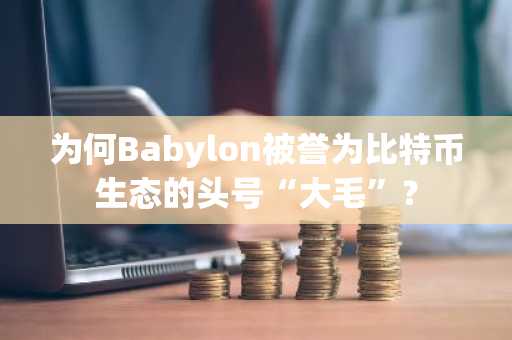 为何Babylon被誉为比特币生态的头号“大毛”？
