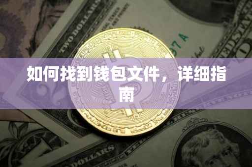 如何找到钱包文件，详细指南
