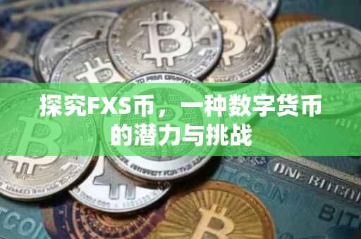 探究FXS币，一种数字货币的潜力与挑战
