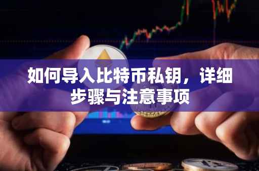 如何导入比特币私钥，详细步骤与注意事项