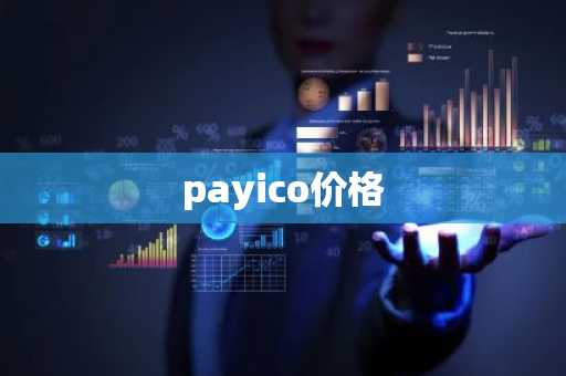 payico价格