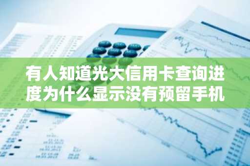 有人知道光大信用卡查询进度为什么显示没有预留手机号吗？