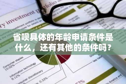 省呗具体的年龄申请条件是什么，还有其他的条件吗？