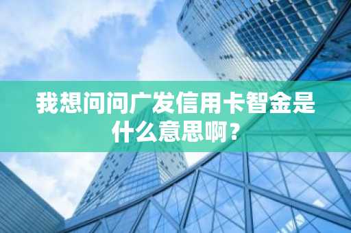 我想问问广发信用卡智金是什么意思啊？