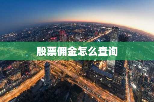 股票佣金怎么查询