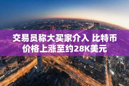交易员称大买家介入 比特币价格上涨至约28K美元