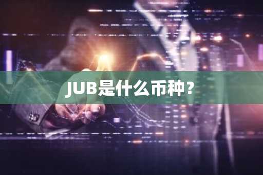 JUB是什么币种？