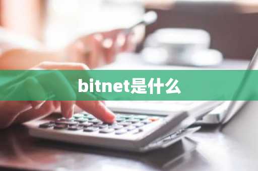bitnet是什么