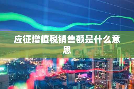 应征增值税销售额是什么意思