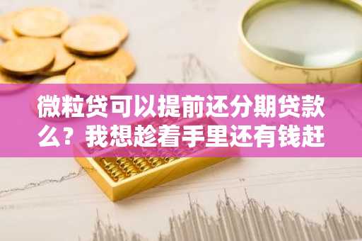 微粒贷可以提前还分期贷款么？我想趁着手里还有钱赶紧还清。