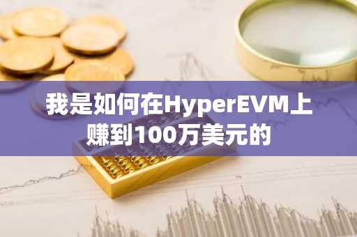 我是如何在HyperEVM上赚到100万美元的