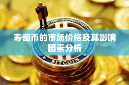 寿司币的市场价格及其影响因素分析