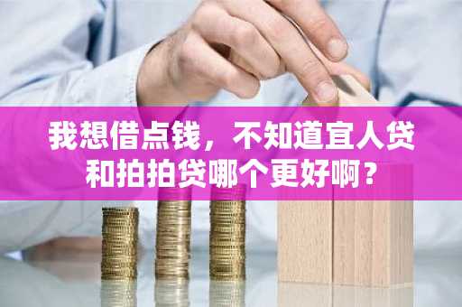 我想借点钱，不知道宜人贷和拍拍贷哪个更好啊？