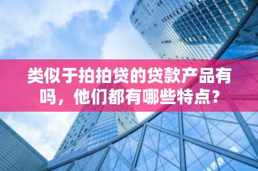 类似于拍拍贷的贷款产品有吗，他们都有哪些特点？