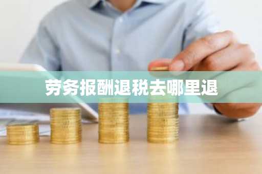 劳务报酬退税去哪里退