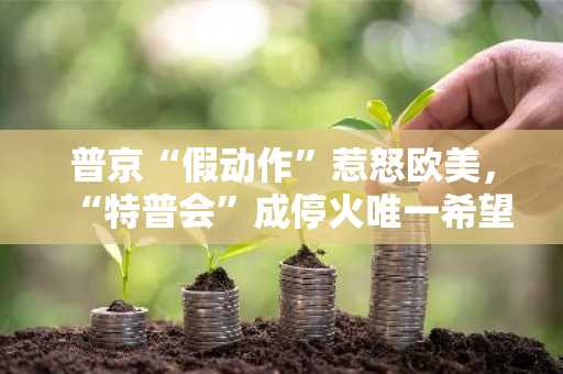 普京“假动作”惹怒欧美，“特普会”成停火唯一希望？