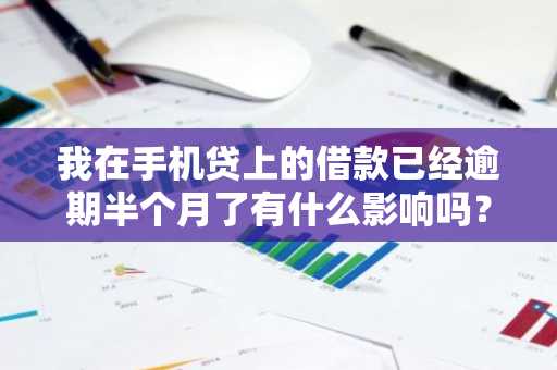 我在手机贷上的借款已经逾期半个月了有什么影响吗？