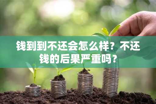 钱到到不还会怎么样？不还钱的后果严重吗？