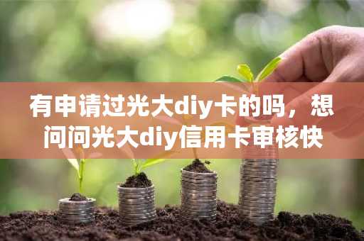 有申请过光大diy卡的吗，想问问光大diy信用卡审核快吗？