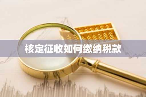 核定征收如何缴纳税款