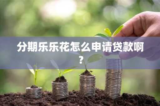 分期乐乐花怎么申请贷款啊？