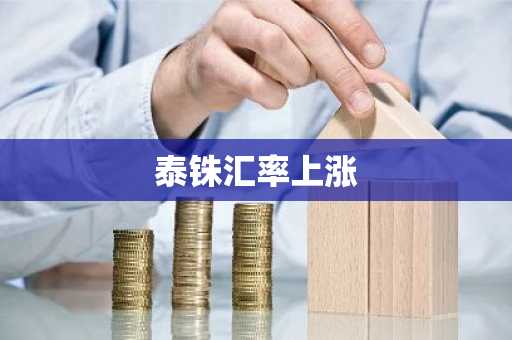 泰铢汇率上涨
