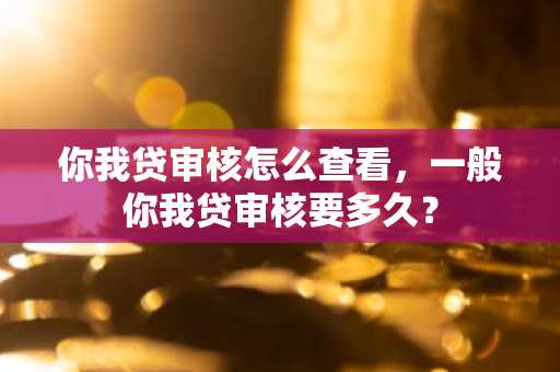你我贷审核怎么查看，一般你我贷审核要多久？