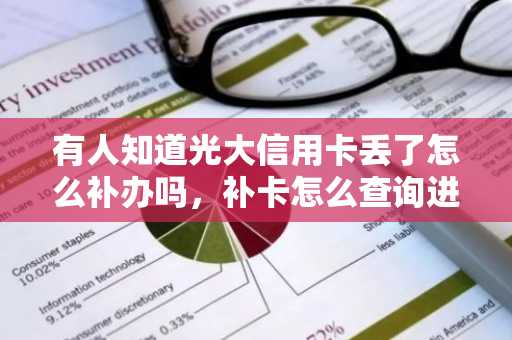 有人知道光大信用卡丢了怎么补办吗，补卡怎么查询进度啊？