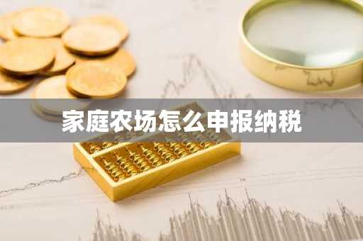 家庭农场怎么申报纳税