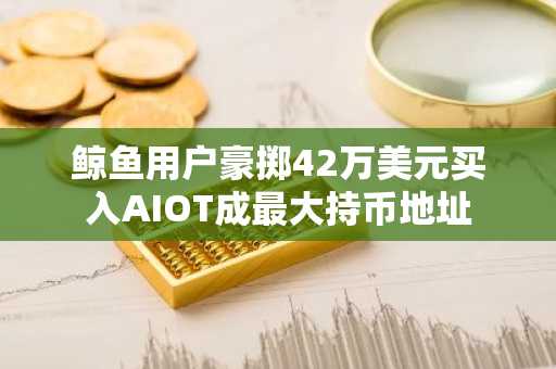 鲸鱼用户豪掷42万美元买入AIOT成最大持币地址