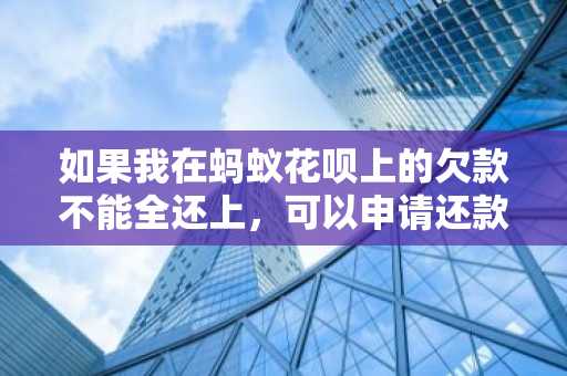 如果我在蚂蚁花呗上的欠款不能全还上，可以申请还款的最低还款额吗？