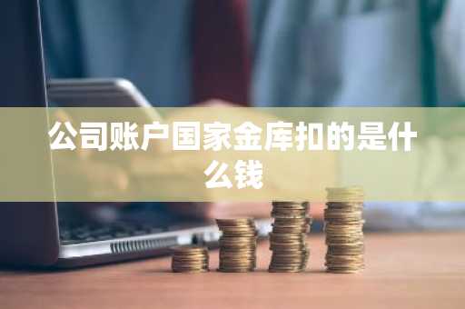 公司账户国家金库扣的是什么钱