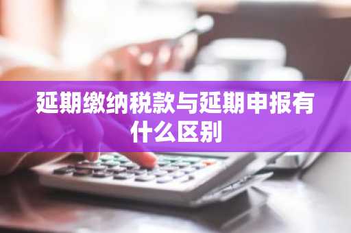 延期缴纳税款与延期申报有什么区别