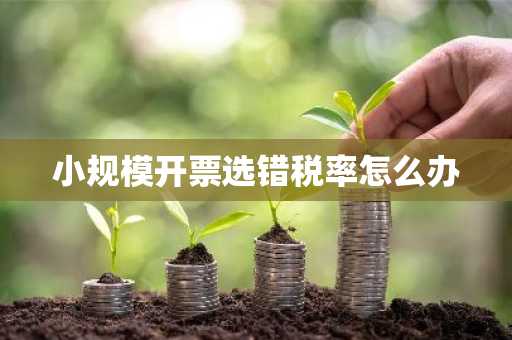 小规模开票选错税率怎么办