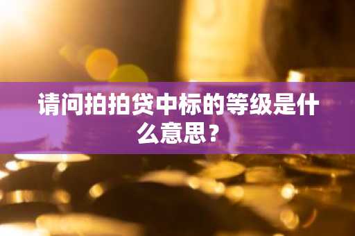 请问拍拍贷中标的等级是什么意思？